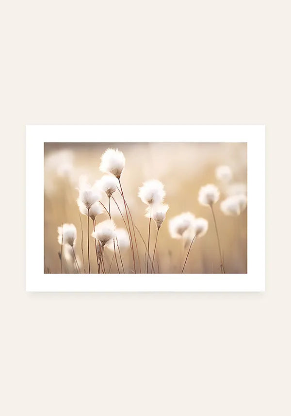 Quadro Flores de Algodão Horizontal com Borda