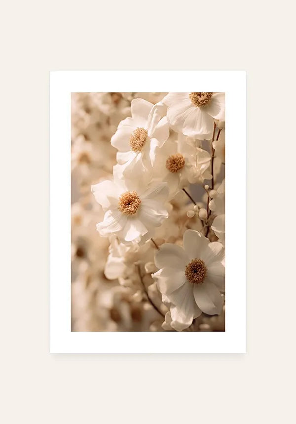 Quadro Flores de Margarida I com Borda