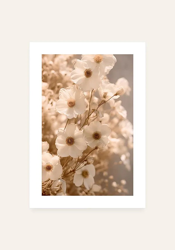 Quadro Flores de Margarida II com Borda