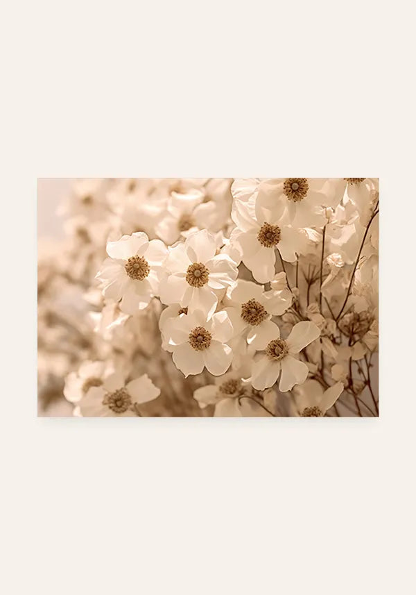 Quadro Flores de Margarida Horizontal I