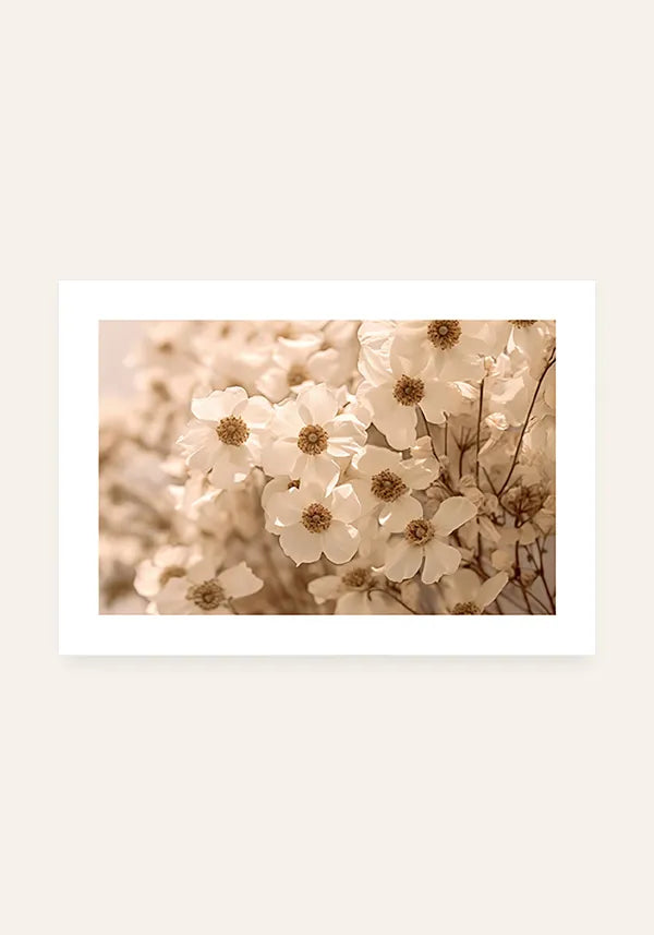Quadro Flores de Margarida Horizontal I com Borda