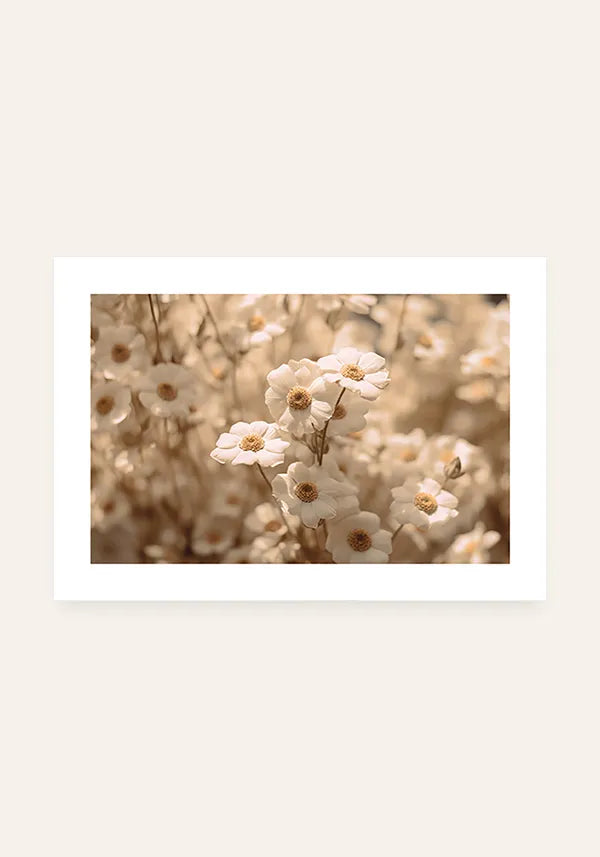 Quadro Flores de Margarida Horizontal II com Borda