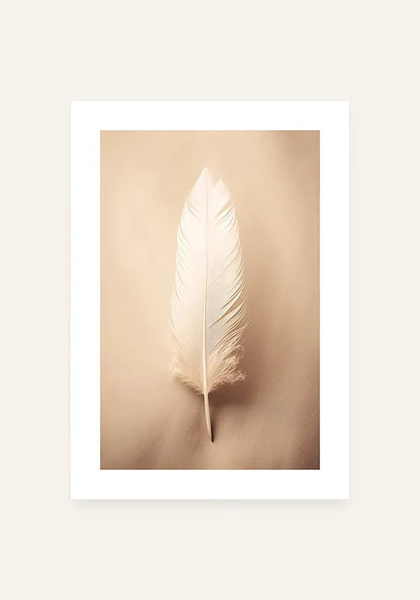 Quadro Pena Branca II com Borda