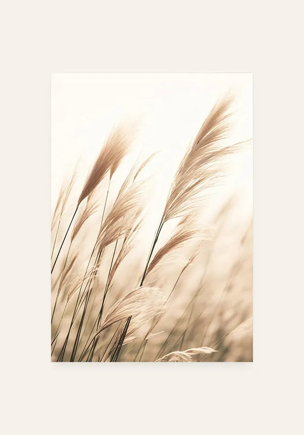 Quadro Plantas Secas ao Vento I
