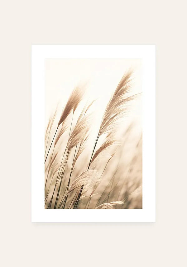 Quadro Plantas Secas ao Vento I com Borda