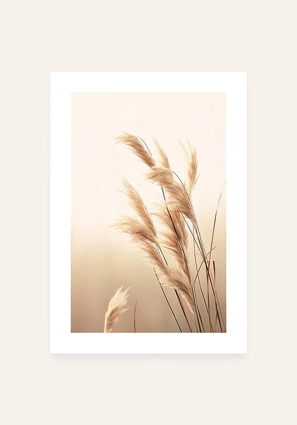 Quadro Plantas Secas ao Vento III com Borda