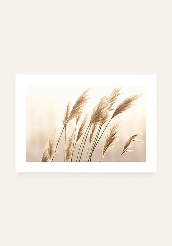 Quadro Plantas Secas ao Vento Horizontal I com Borda