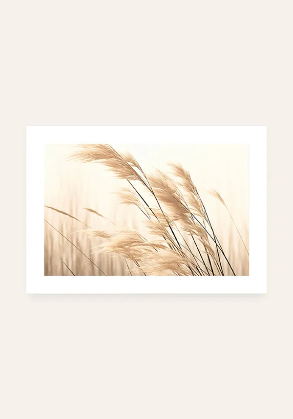 Quadro Plantas Secas ao Vento Horizontal II com Borda
