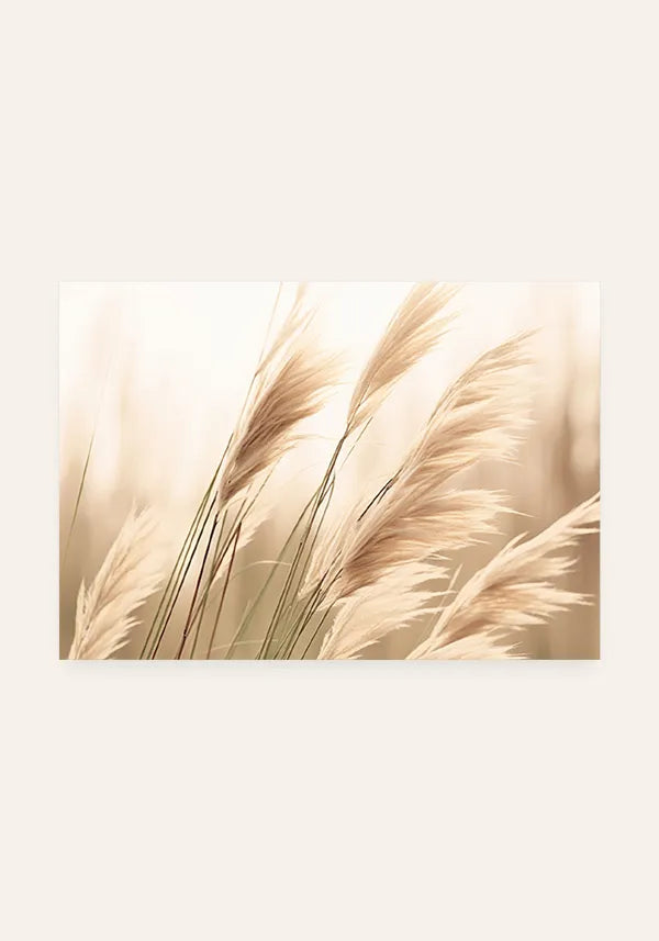 Quadro Plantas Secas ao Vento Horizontal III