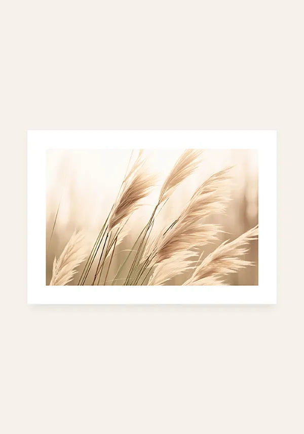 Quadro Plantas Secas ao Vento Horizontal III com Borda