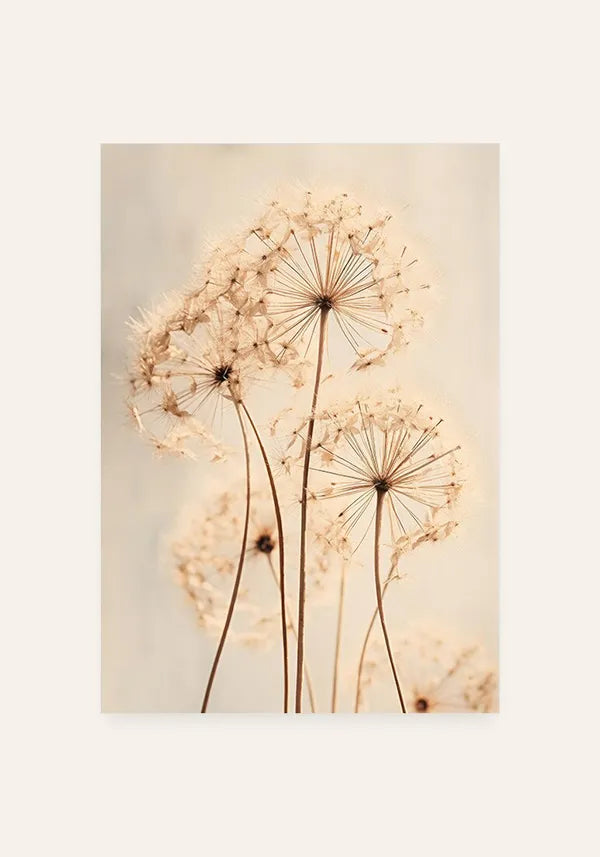 Quadro Flores Dente de Leão