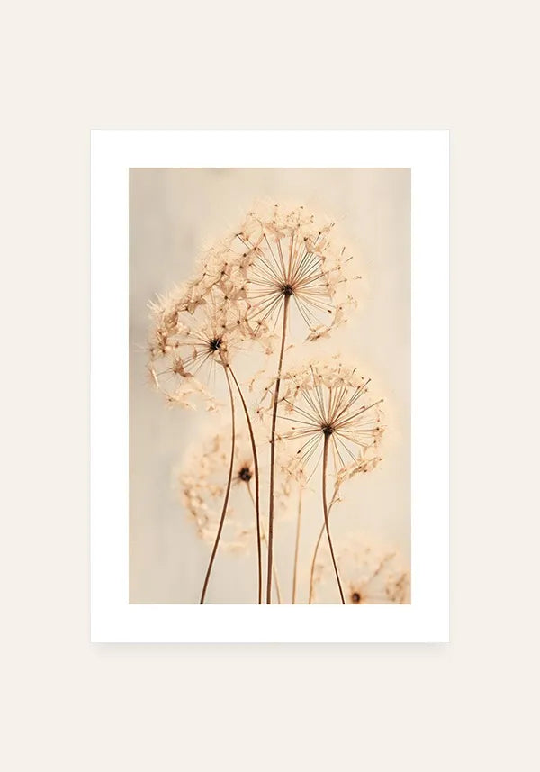 Quadro Flores Dente de Leão com Borda