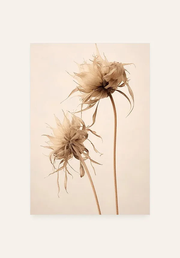 Quadro Foto Flor Seca I