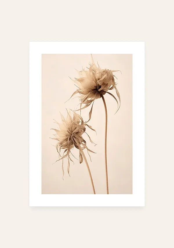 Quadro Foto Flor Seca I com Borda