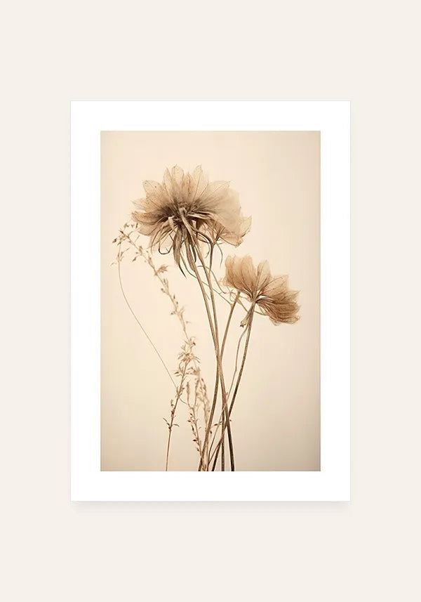 Quadro Foto Flor Seca II com Borda