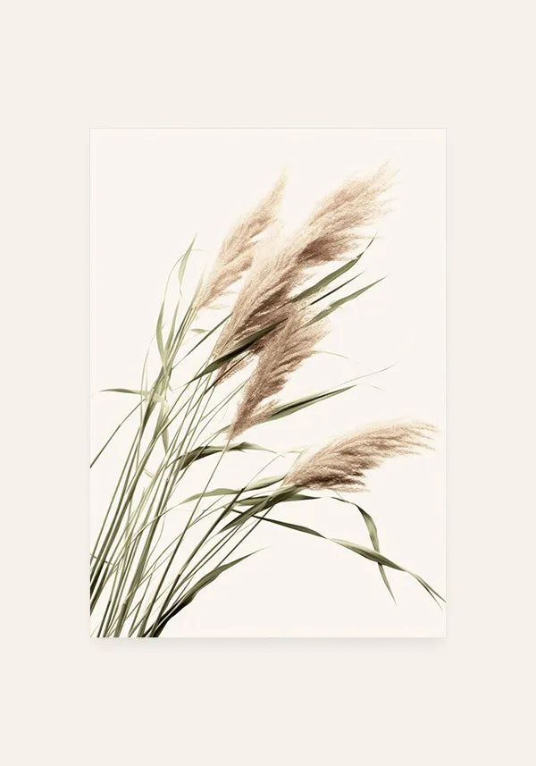 Quadro Flores de Junco Seco I