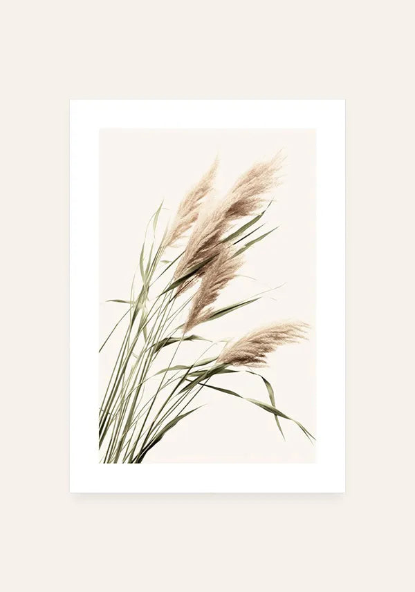 Quadro Flores de Junco Seco I com Borda