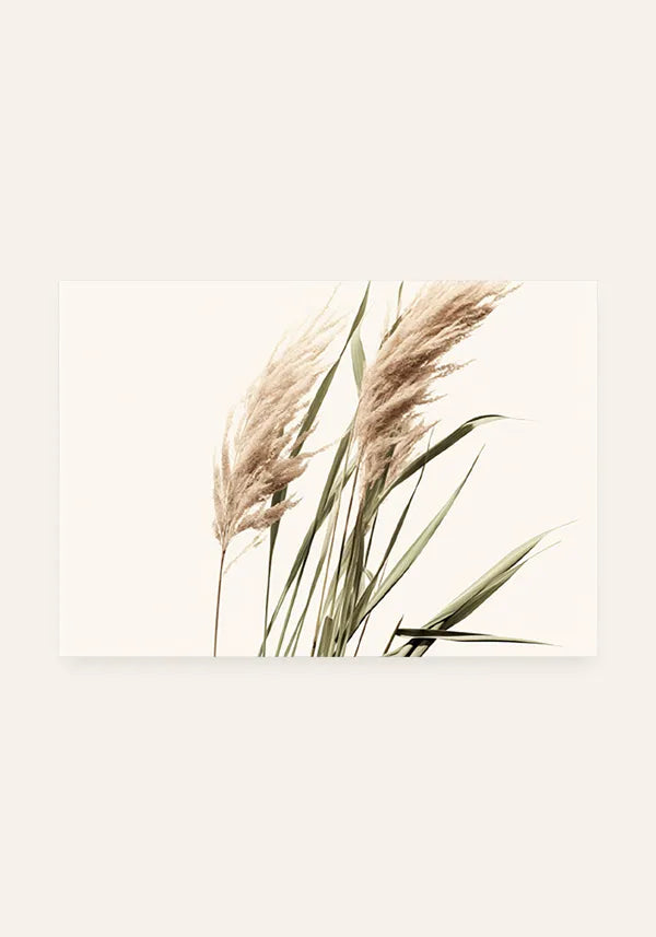 Quadro Flores de Junco Seco Horizontal