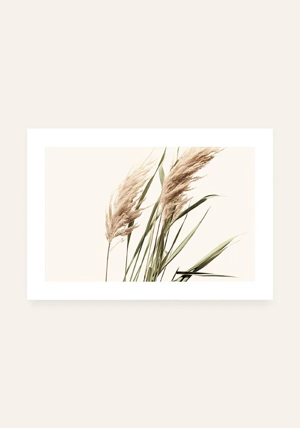 Quadro Flores de Junco Seco Horizontal com Borda