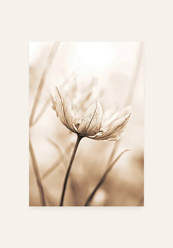 Quadro Flor em Sépia I