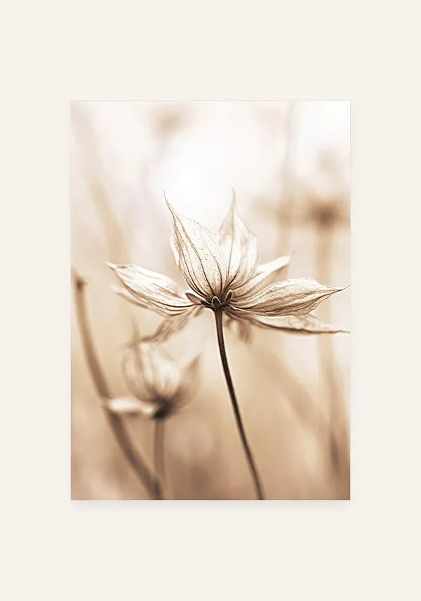 Quadro Flor em Sépia II
