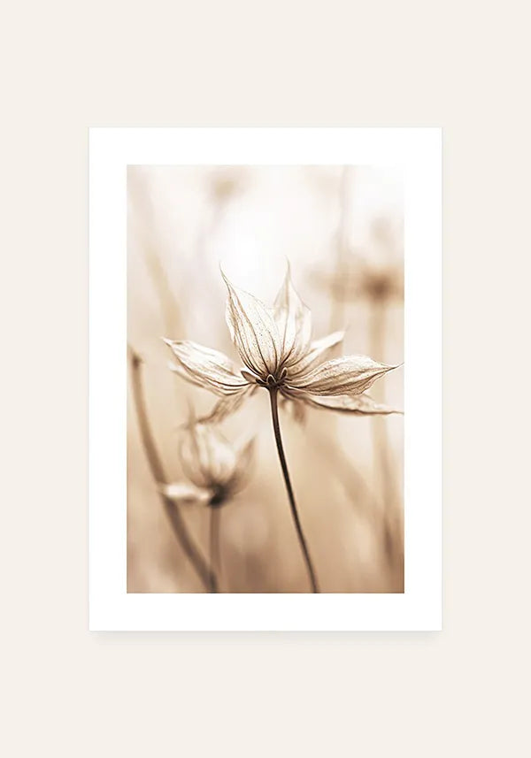 Quadro Flor em Sépia II com Borda