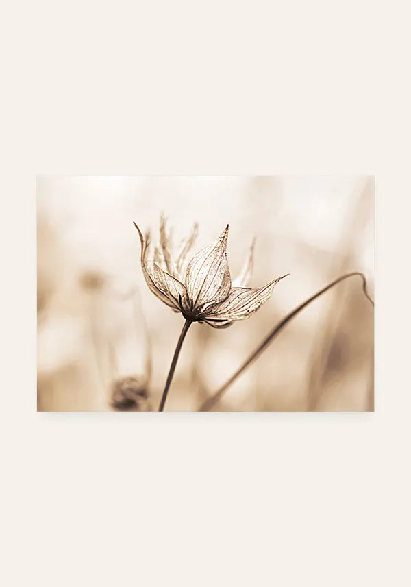 Quadro Flor em Sépia Horizontal I