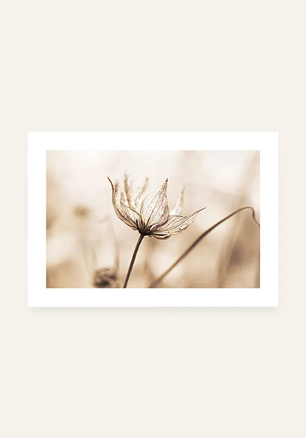 Quadro Flor em Sépia Horizontal I com Borda
