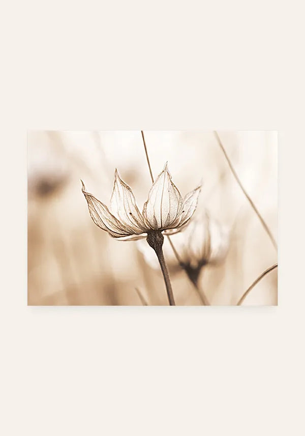 Quadro Flor em Sépia Horizontal II