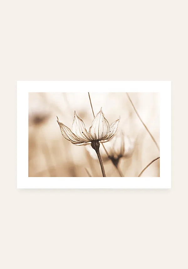 Quadro Flor em Sépia Horizontal II com Borda