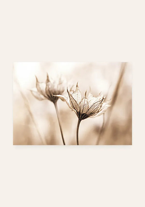 Quadro Flor em Sépia Horizontal III