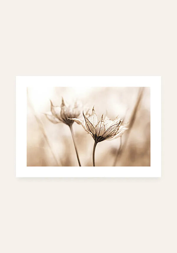 Quadro Flor em Sépia Horizontal III com Borda