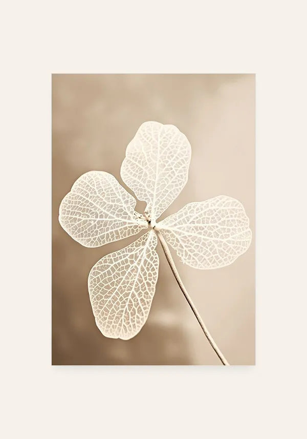 Quadro Flor Branca Seca I