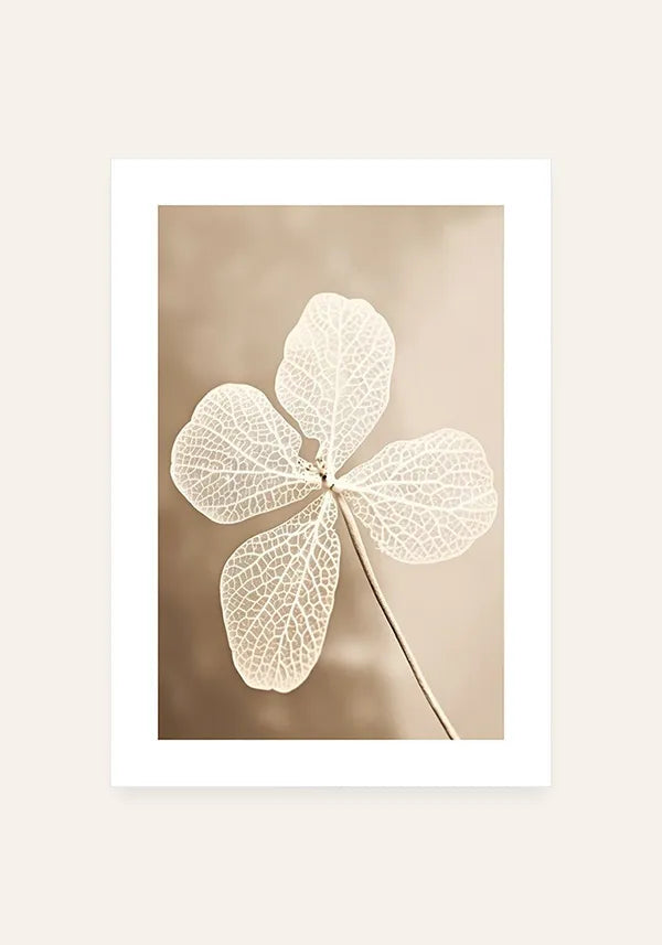 Quadro Flor Branca Seca I com Borda