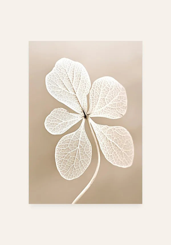 Quadro Flor Branca Seca II