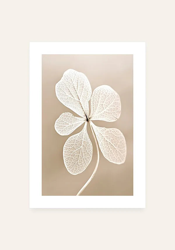 Quadro Flor Branca Seca II com Borda