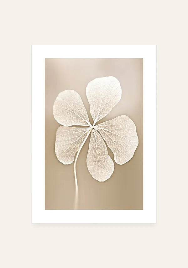 Quadro Flor Branca Seca III com Borda