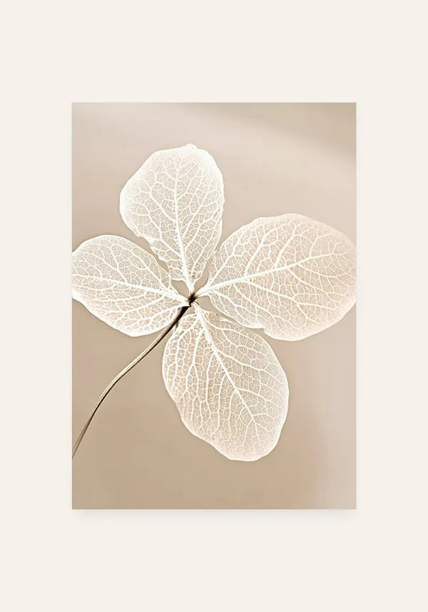 Quadro Flor Branca Seca IV