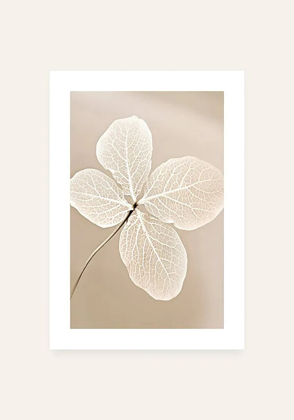 Quadro Flor Branca Seca IV com Borda