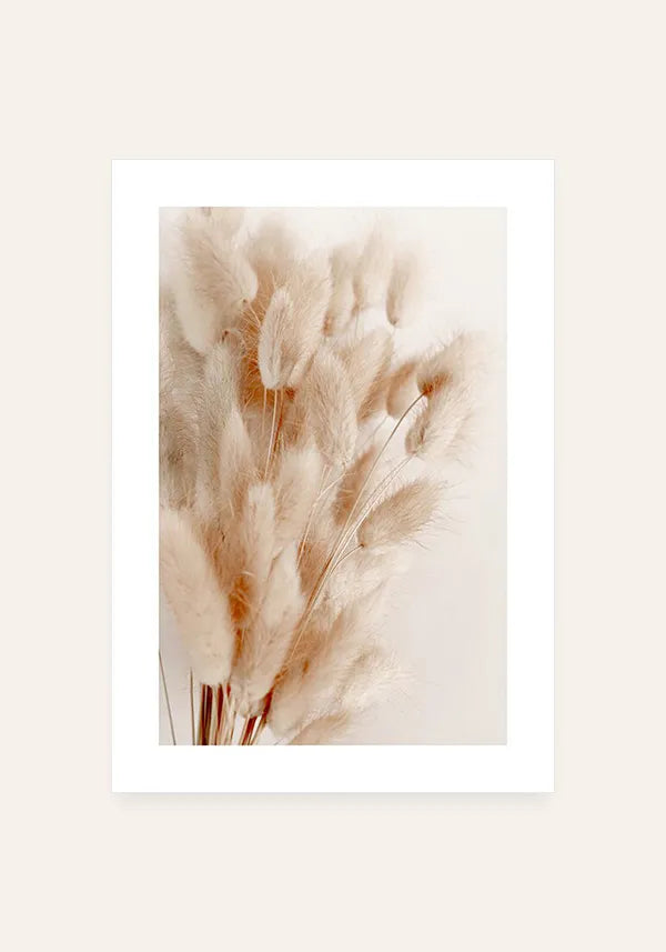Quadro Flores Secas (Cauda de Coelho) com Borda