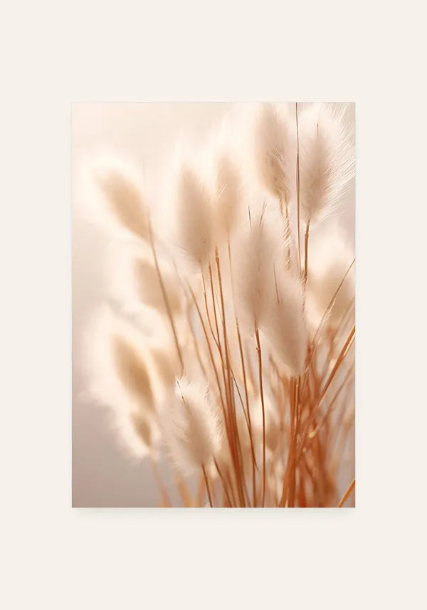 Quadro Flor Cauda de Coelho no Sol