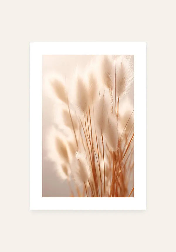 Quadro Flor Cauda de Coelho no Sol com Borda