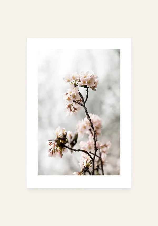 Quadro Florescer das Cerejeiras com Borda