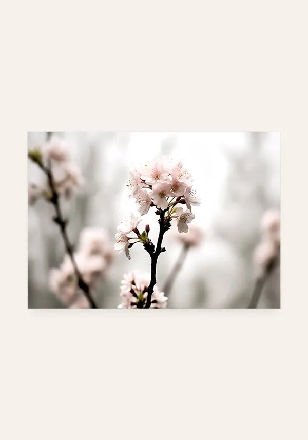 Quadro Flores de Cerejeiras Horizontal