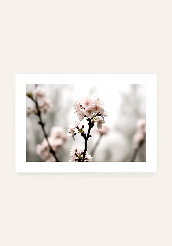 Quadro Flores de Cerejeiras Horizontal com Borda