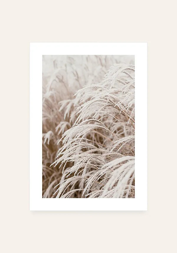 Quadro Grama sob a Neve com Borda