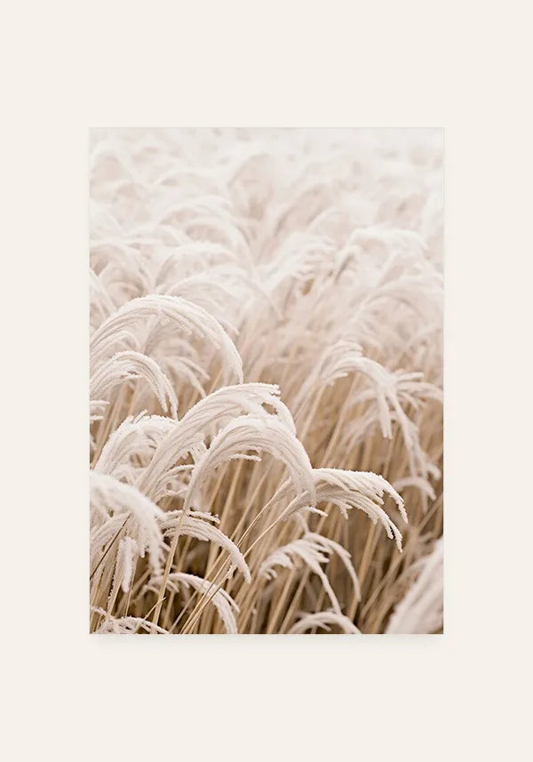 Quadro Grama com Neve I
