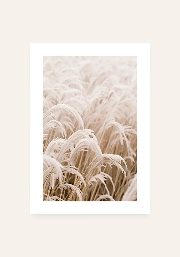 Quadro Grama com Neve I com Borda