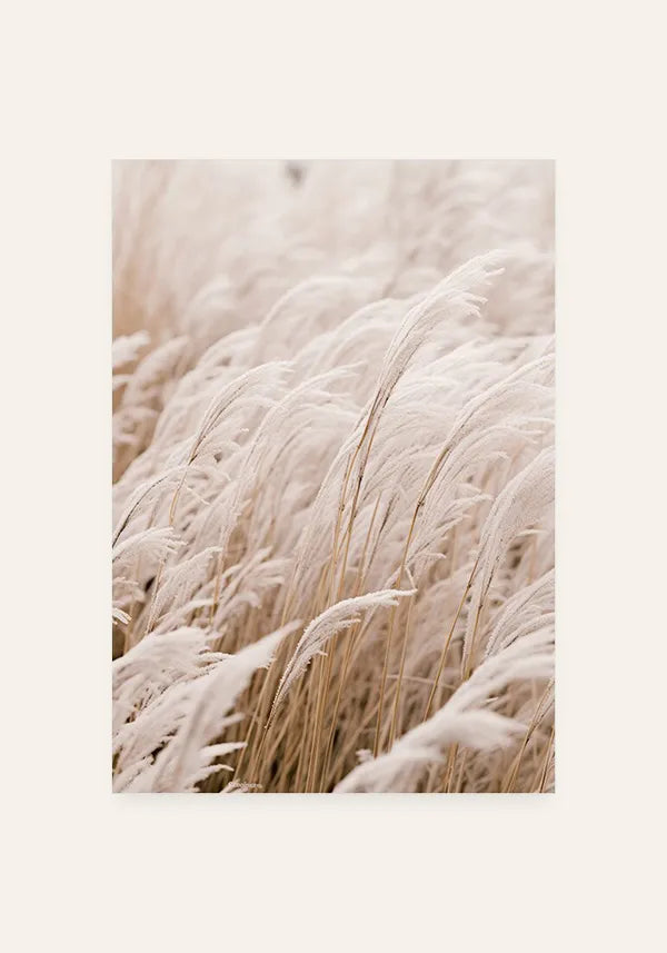 Quadro Grama com Neve II