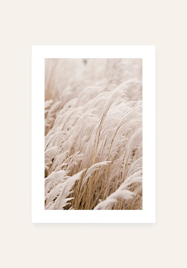 Quadro Grama com Neve II com Borda